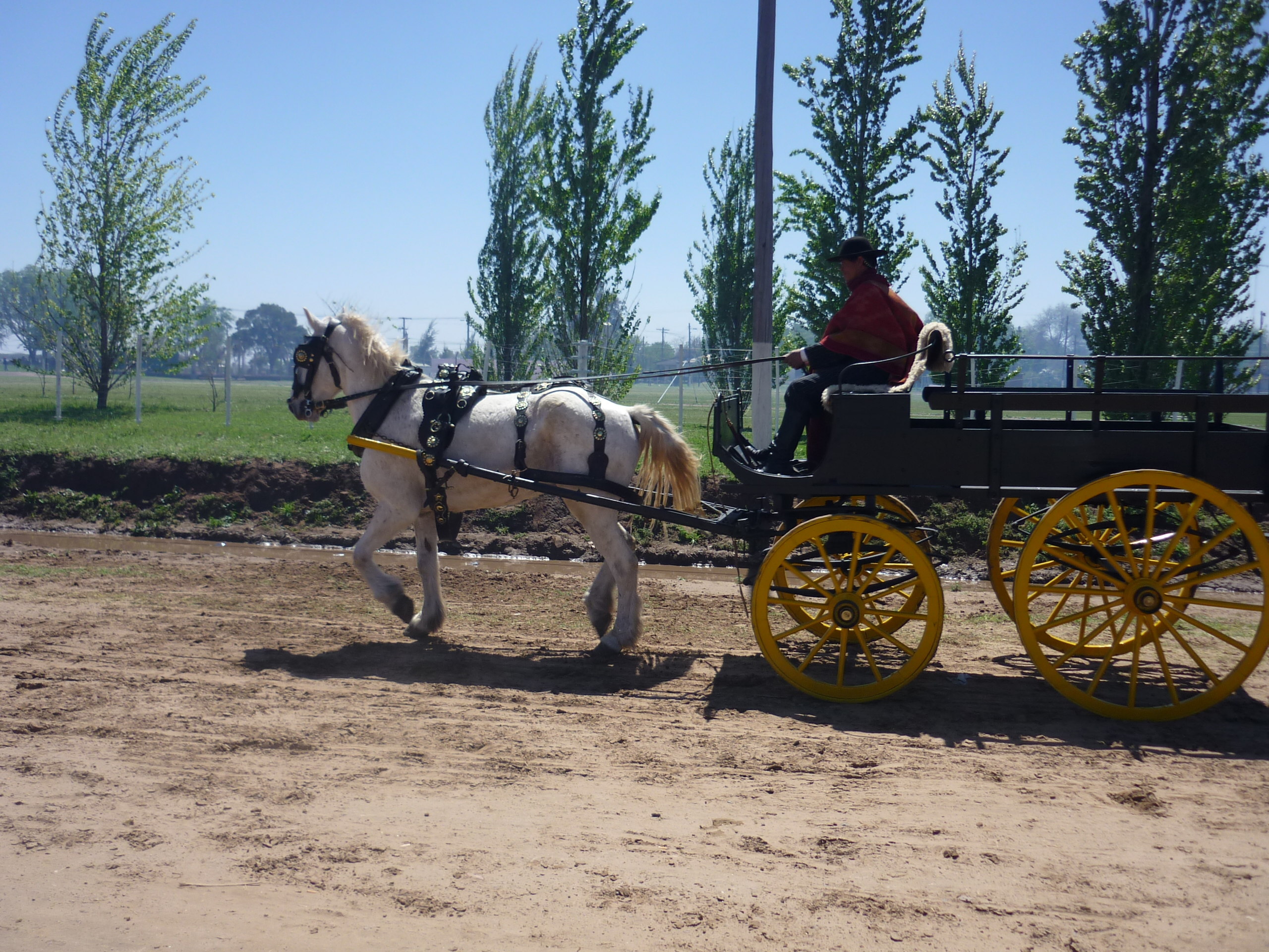 fotos/2009-10-11 - Fiesta del Cordero/P1000433.JPG